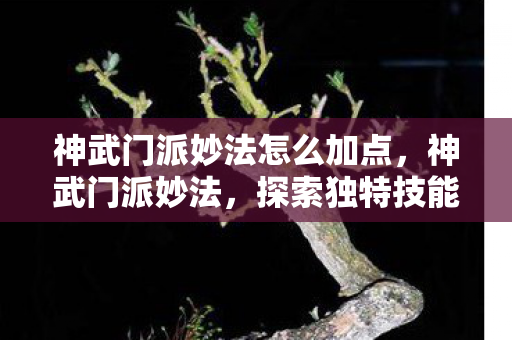 神武门派妙法怎么加点，神武门派妙法，探索独特技能与策略