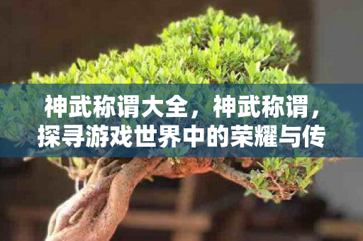 神武称谓大全，神武称谓，探寻游戏世界中的荣耀与传奇
