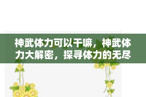 神武体力可以干嘛，神武体力大解密，探寻体力的无尽可能