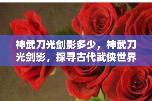 神武刀光剑影多少，神武刀光剑影，探寻古代武侠世界的剑术与刀法