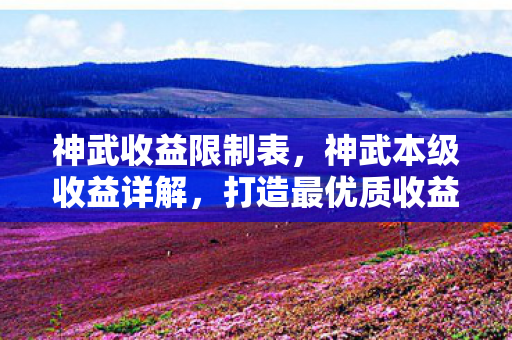 神武收益限制表，神武本级收益详解，打造最优质收益的策略与技巧