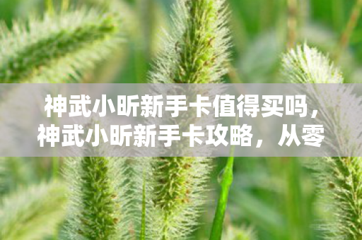 神武小昕新手卡值得买吗,神武小昕新手卡攻略,从零开始的入门指南 神武小昕新手卡值得买吗,神武小昕新手卡攻略,从零开始的入门指南