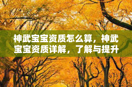 神武宝宝资质怎么算,神武宝宝资质详解,了解与提升你的宠物实力 神武宝宝资质怎么算,神武宝宝资质详解,了解与提升你的宠物实力