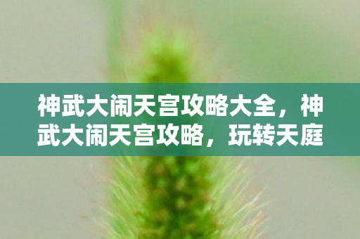 神武大闹天宫攻略大全，神武大闹天宫攻略，玩转天庭之战