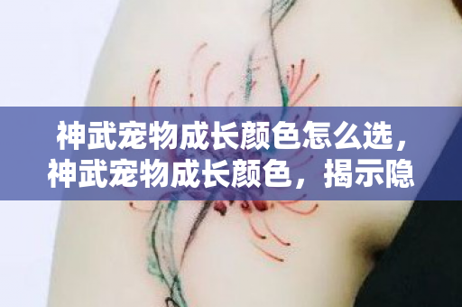 神武宠物成长颜色怎么选,神武宠物成长颜色,揭示隐藏属性与选择策略 神武宠物成长颜色怎么选,神武宠物成长颜色,揭示隐藏属性与选择策略