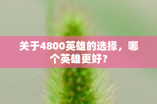 关于4800英雄的选择，哪个英雄更好？
