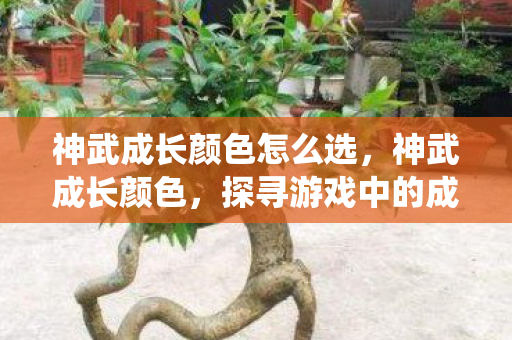 神武成长颜色怎么选，神武成长颜色，探寻游戏中的成长系统与多彩人生