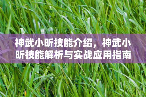 神武小昕技能介绍,神武小昕技能解析与实战应用指南 神武小昕技能介绍,神武小昕技能解析与实战应用指南