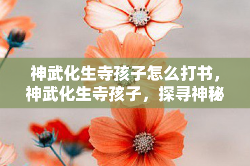 神武化生寺孩子怎么打书,神武化生寺孩子,探寻神秘的佛门子弟成长之路 神武化生寺孩子怎么打书,神武化生寺孩子,探寻神秘的佛门子弟成长之路