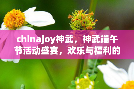 chinajoy神武，神武端午节活动盛宴，欢乐与福利的双重奏