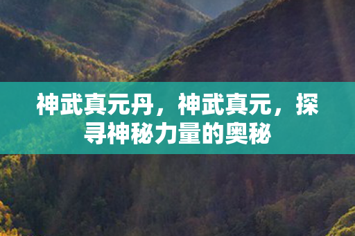神武真元丹,神武真元,探寻神秘力量的奥秘 神武真元丹,神武真元,探寻神秘力量的奥秘