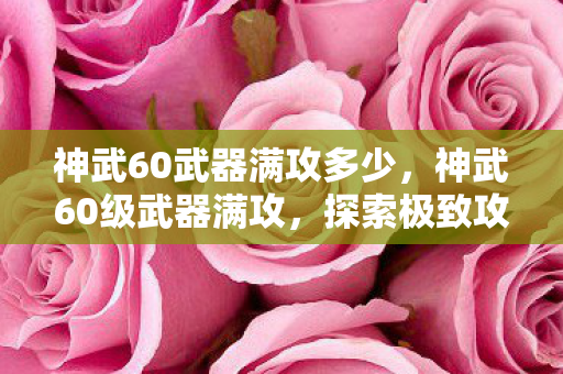 神武60武器满攻多少，神武60级武器满攻，探索极致攻击力的奥秘