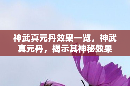 神武真元丹效果一览，神武真元丹，揭示其神秘效果