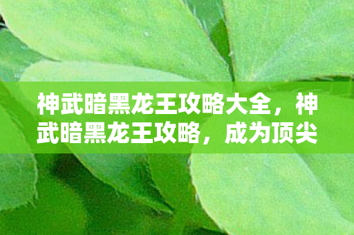神武暗黑龙王攻略大全，神武暗黑龙王攻略，成为顶尖玩家的秘诀