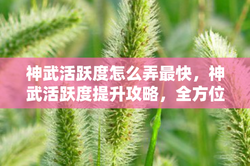 神武活跃度怎么弄最快,神武活跃度提升攻略,全方位指南 神武活跃度怎么弄最快,神武活跃度提升攻略,全方位指南
