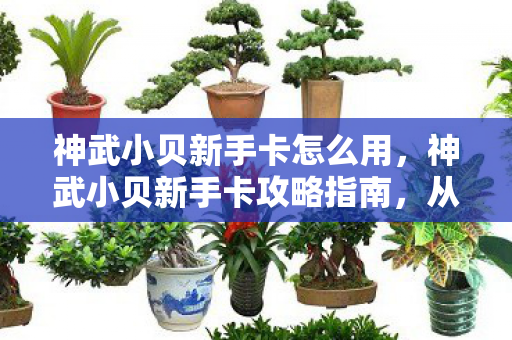 神武小贝新手卡怎么用,神武小贝新手卡攻略指南,从零开始,轻松玩转游戏世界! 神武小贝新手卡怎么用,神武小贝新手卡攻略指南,从零开始,轻松玩转游戏世界!