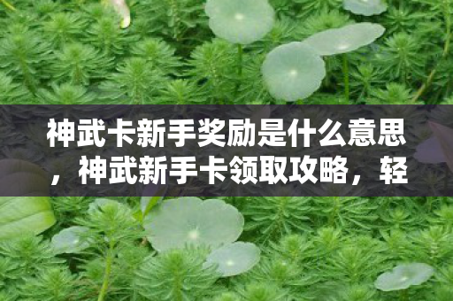 神武卡新手奖励是什么意思，神武新手卡领取攻略，轻松上手游戏！