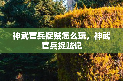 神武官兵捉贼怎么玩，神武官兵捉贼记