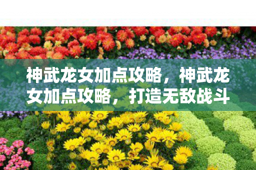 神武龙女加点攻略，神武龙女加点攻略，打造无敌战斗女神