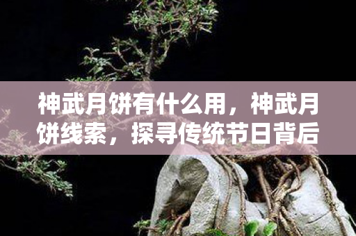 神武月饼有什么用,神武月饼线索,探寻传统节日背后的神秘故事 神武月饼有什么用,神武月饼线索,探寻传统节日背后的神秘故事