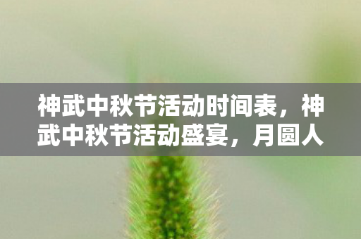 神武中秋节活动时间表，神武中秋节活动盛宴，月圆人团圆，精彩活动乐不停！