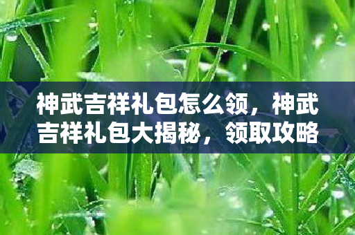 神武吉祥礼包怎么领，神武吉祥礼包大揭秘，领取攻略、使用指南及独家福利！