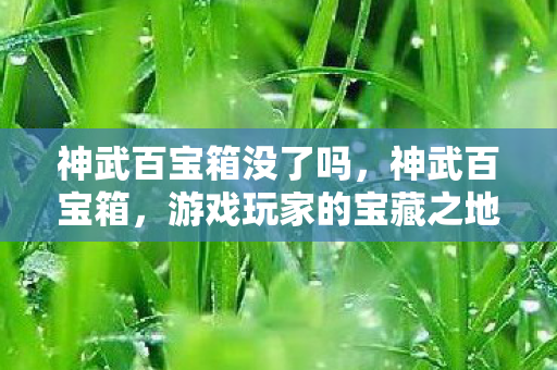神武百宝箱没了吗，神武百宝箱，游戏玩家的宝藏之地