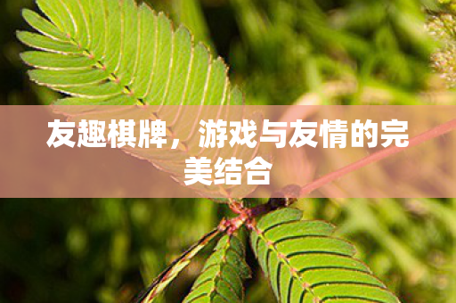 友趣棋牌，游戏与友情的完美结合