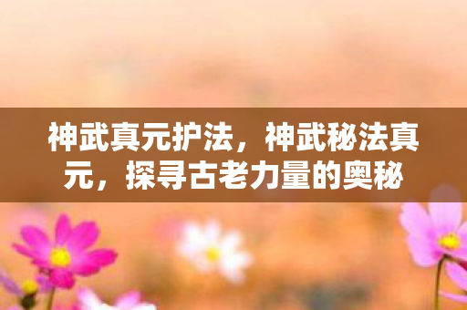 神武真元护法，神武秘法真元，探寻古老力量的奥秘