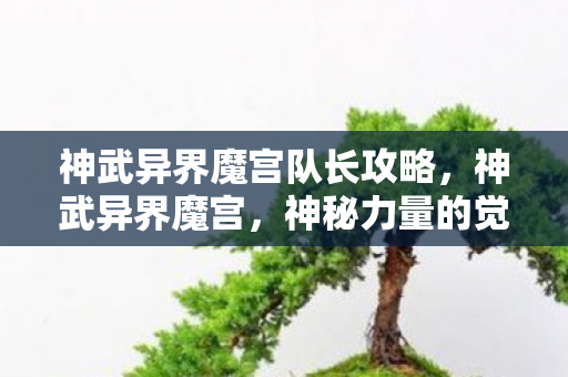 神武异界魔宫队长攻略，神武异界魔宫，神秘力量的觉醒与探索