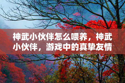 神武小伙伴怎么喂养，神武小伙伴，游戏中的真挚友情