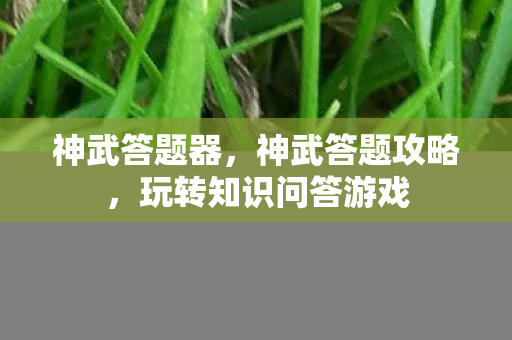 神武答题器,神武答题攻略,玩转知识问答游戏 神武答题器,神武答题攻略,玩转知识问答游戏