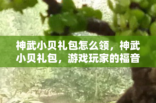 神武小贝礼包怎么领,神武小贝礼包,游戏玩家的福音 神武小贝礼包怎么领,神武小贝礼包,游戏玩家的福音