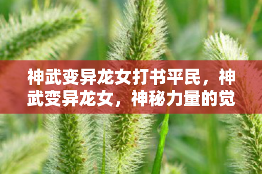 神武变异龙女打书平民，神武变异龙女，神秘力量的觉醒与传承