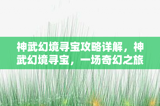 神武幻境寻宝攻略详解,神武幻境寻宝,一场奇幻之旅 神武幻境寻宝攻略详解,神武幻境寻宝,一场奇幻之旅