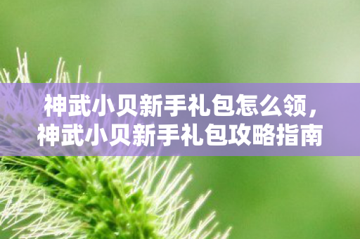 神武小贝新手礼包怎么领,神武小贝新手礼包攻略指南 神武小贝新手礼包怎么领,神武小贝新手礼包攻略指南