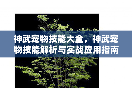 神武宠物技能大全，神武宠物技能解析与实战应用指南