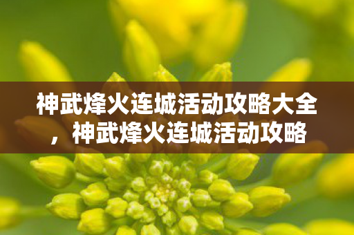 神武烽火连城活动攻略大全，神武烽火连城活动攻略