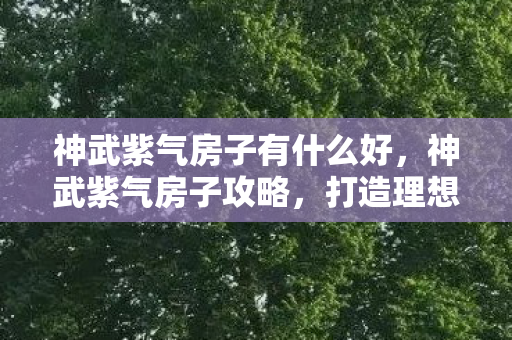 神武紫气房子有什么好,神武紫气房子攻略,打造理想居所的秘诀 神武紫气房子有什么好,神武紫气房子攻略,打造理想居所的秘诀