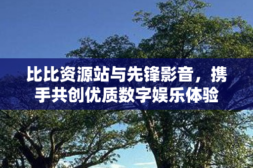 比比资源站与先锋影音，携手共创优质数字娱乐体验