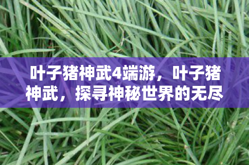 叶子猪神武4端游,叶子猪神武,探寻神秘世界的无尽魅力 叶子猪神武4端游,叶子猪神武,探寻神秘世界的无尽魅力