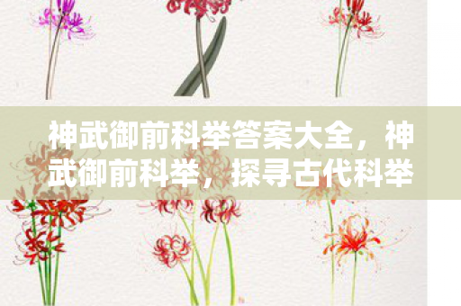 神武御前科举答案大全，神武御前科举，探寻古代科举的魅力与影响