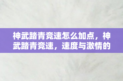 神武踏青竞速怎么加点,神武踏青竞速,速度与激情的完美融合 神武踏青竞速怎么加点,神武踏青竞速,速度与激情的完美融合