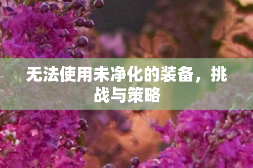无法使用未净化的装备，挑战与策略