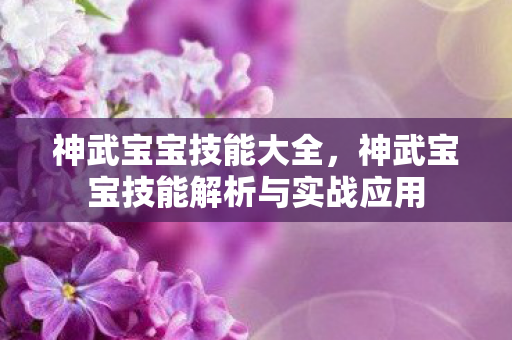 神武宝宝技能大全，神武宝宝技能解析与实战应用