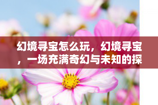 幻境寻宝怎么玩，幻境寻宝，一场充满奇幻与未知的探险之旅