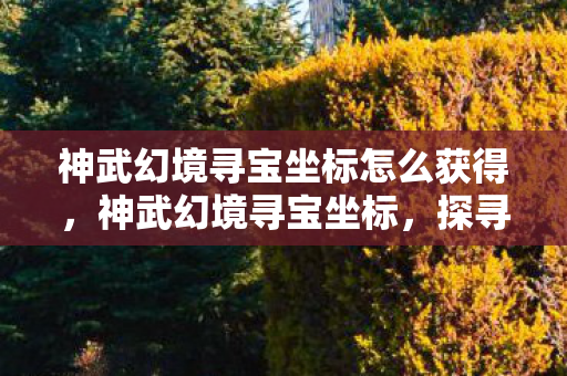 神武幻境寻宝坐标怎么获得，神武幻境寻宝坐标，探寻神秘宝藏的旅程