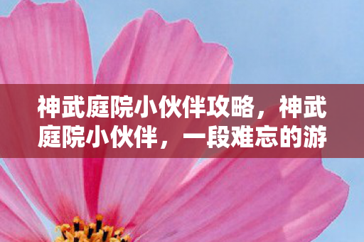 神武庭院小伙伴攻略，神武庭院小伙伴，一段难忘的游戏情缘