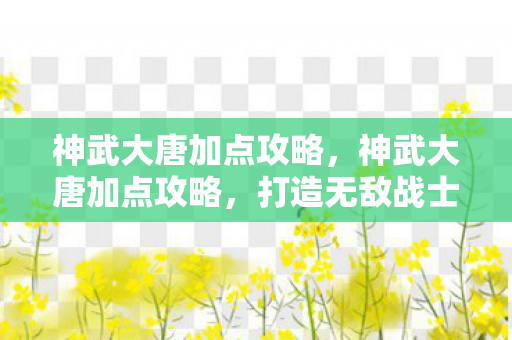 神武大唐加点攻略，神武大唐加点攻略，打造无敌战士的秘诀