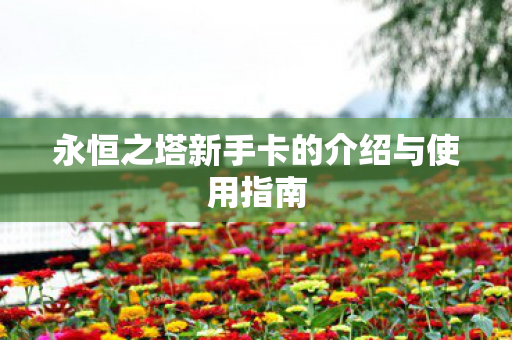 永恒之塔新手卡的介绍与使用指南